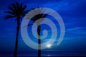 Moon in Agadir, Morocco