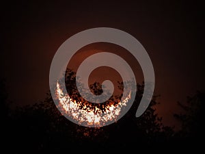 Moon behind the trees