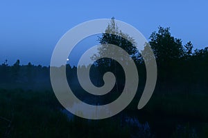 Moon in the blue night sky above the forest