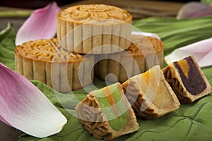 Moon cake traditional cake of Vietnamese - Chinese mid autumn festival food