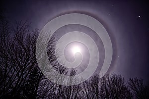 Moon Corona Over Treetops