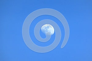 Moon by day in a cloudless sky