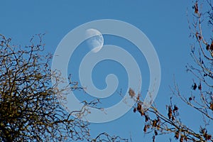 Moon in daylight in a clear blue sky