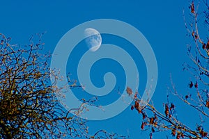 Moon in daylight in a clear blue sky