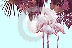 Moon and flamingo background design with tropical leaves