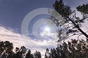 Moon flare in the rural Louisiana night sky