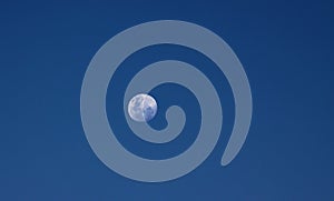 Moon Floating in Dark Blue Velvet Sky