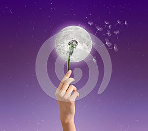 Moon flower dandelion abstract dream, wish symbol
