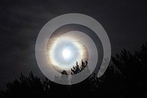 Moon halo night sky stars and blue clouds over forest