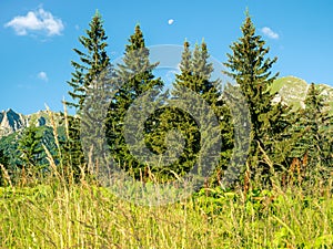 Moon hanging over the Bucegi Mountains, in Romania. Morning landscape with mountains against blue sky