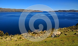 Moon island, Lake Titicaca Bolivia