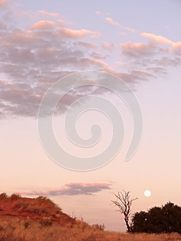 Moon in Kgalagadi Transfrontier Park