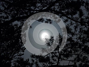 Moon light on night sky