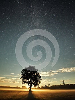 Moon light and night sky stars observing