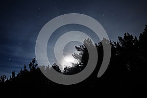 Moon light stars and blue clouds over night forest