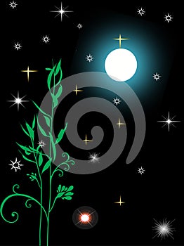 Moon masters the sky