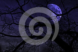 Moon and meteoric shower in the night