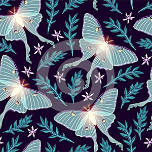 Moon moth with flowers vector seamles pattern