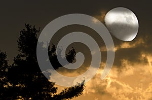Moon mystic night