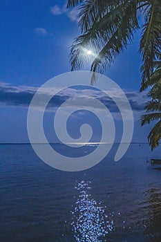 Moon Night Reflection Blue Water Moorea Tahiti
