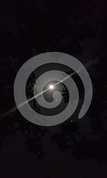 Moon in night vesion with tree is soo cool