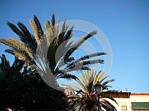 Moon over Alora