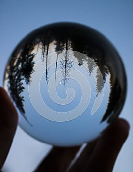 Moon over Forest at Twilight Captured in Glass Ball Held in Fingertips