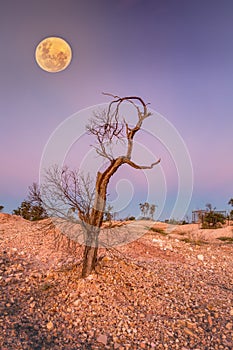 Moon over Lightning Ridge arid desert landscape