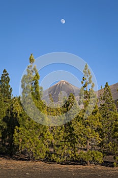 Moon over Mount Teide