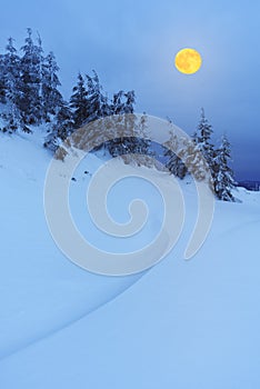 Moon over mountain forest