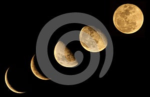 The Moon Phase photo