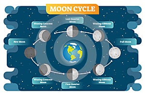 Moon phase cycle vector illustration diagram poster photo