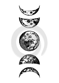 Moon phases drawings in vector, drawn illustration