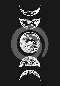 Moon phases drawings in vector, drawn illustration