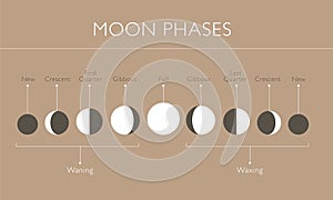 Moon phases vector background