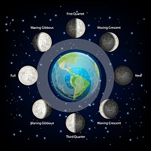 Moon phases vector realistic illustration