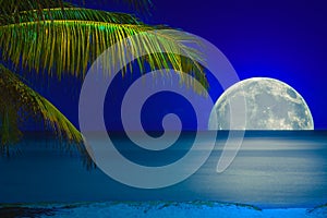 Moon reflected on the water of a tropical beach