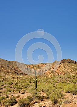 Moon Rise Along The Apache Trail Arizona