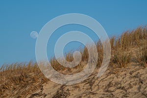 MOON RISE, ATLANTIC COAST, CARCANS BEACH, SMALL SWIMMING STATION ON THE FRENCH ATLANTIC COAST, NEAR LACANAU AND BORDEAUX