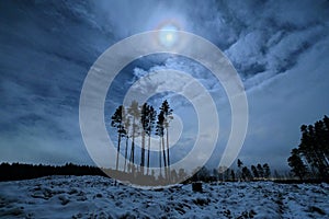 Moon rise over winter forest