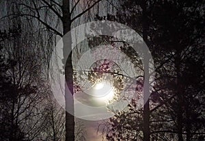 Moon rise in Virgo constellation night sky stars photo