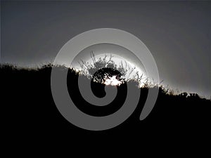 The Moon Rising Over The Hill