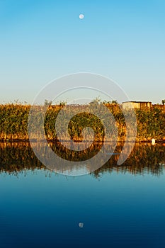 Moon rising over lake