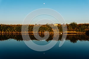 Moon rising over lake