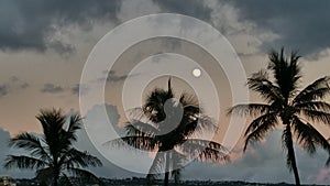 Moon rising in Waikiki Beach Hawaii