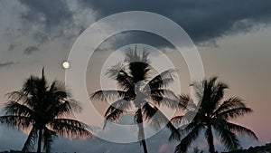Moon rising in Waikiki Beach Hawaii