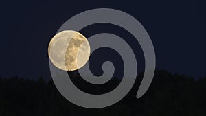 Moon\'s Dance in Night Sky Above Tree Line