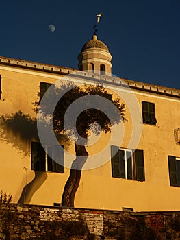Moon, seagull and religion