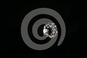 Moon visible through tree branches at night