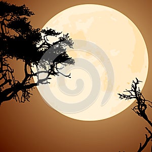 Moon and silhouettes of tree branches